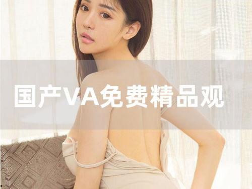 国产va在线视频,畅享视听盛宴,解锁精彩瞬间