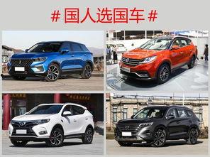 国产精品图片